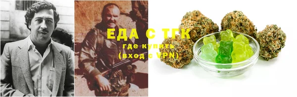 мдпв Верхний Тагил