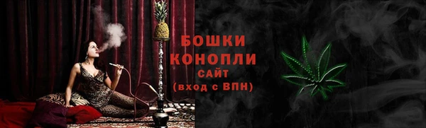 мдпв Верхний Тагил