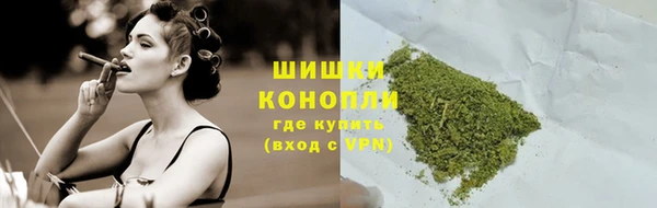 мдпв Верхний Тагил