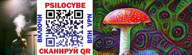 darknet Telegram Королёв Псилоцибиновые грибы ЛСД наркота